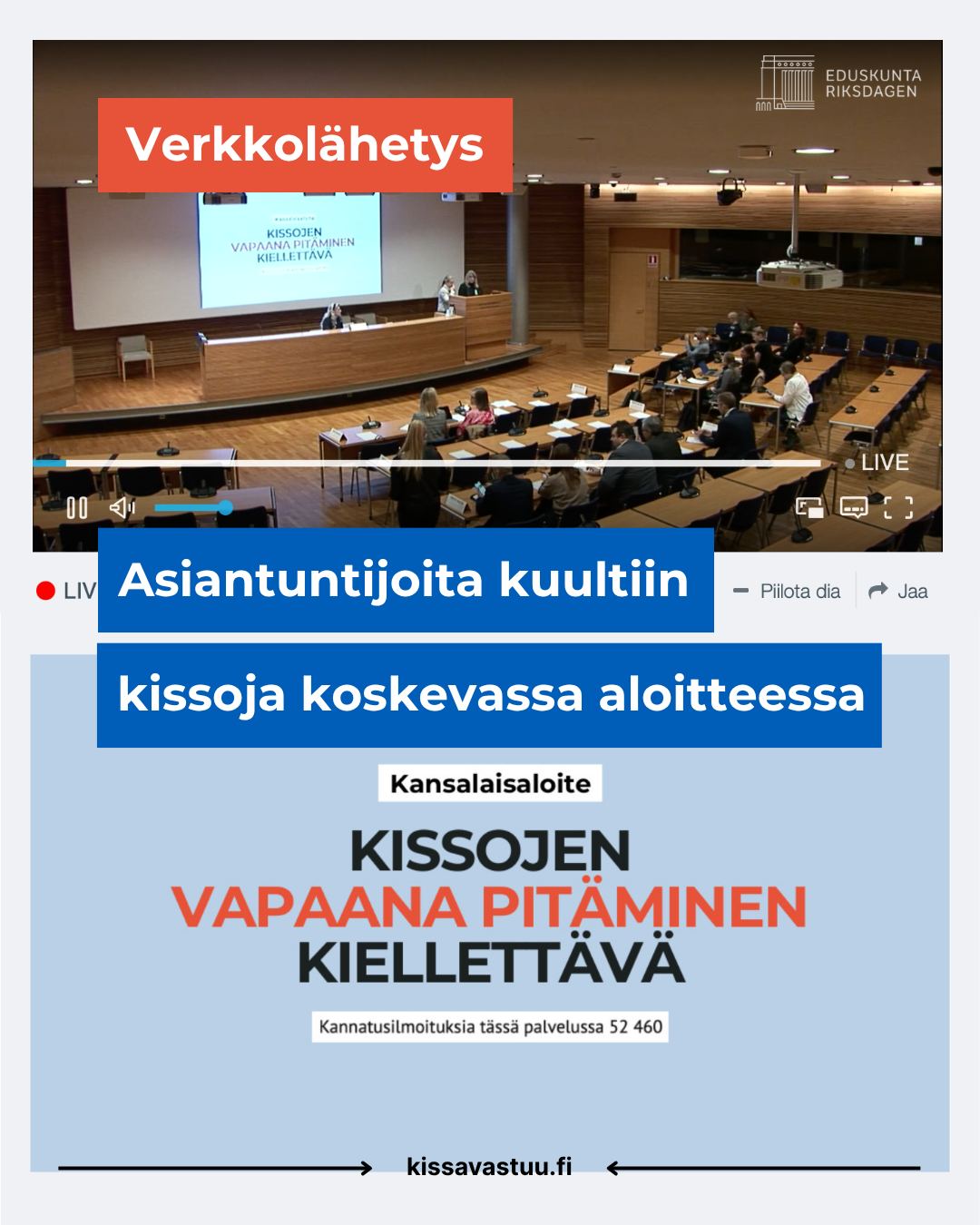 Kansalaisaloite kissoista oli valiokunnan kutsumien asiantuntijoiden käsittelyssä
