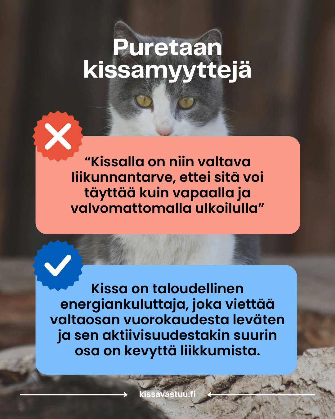 Puretaan kissamyyttejä! Osa 1