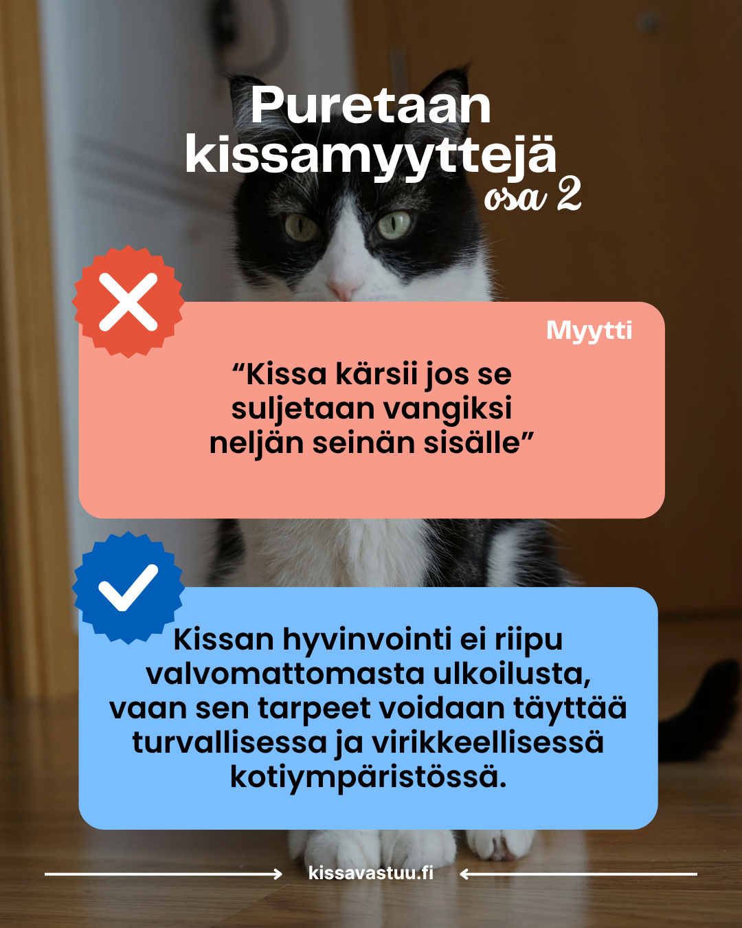 Puretaan kissamyyttejä! Osa 2